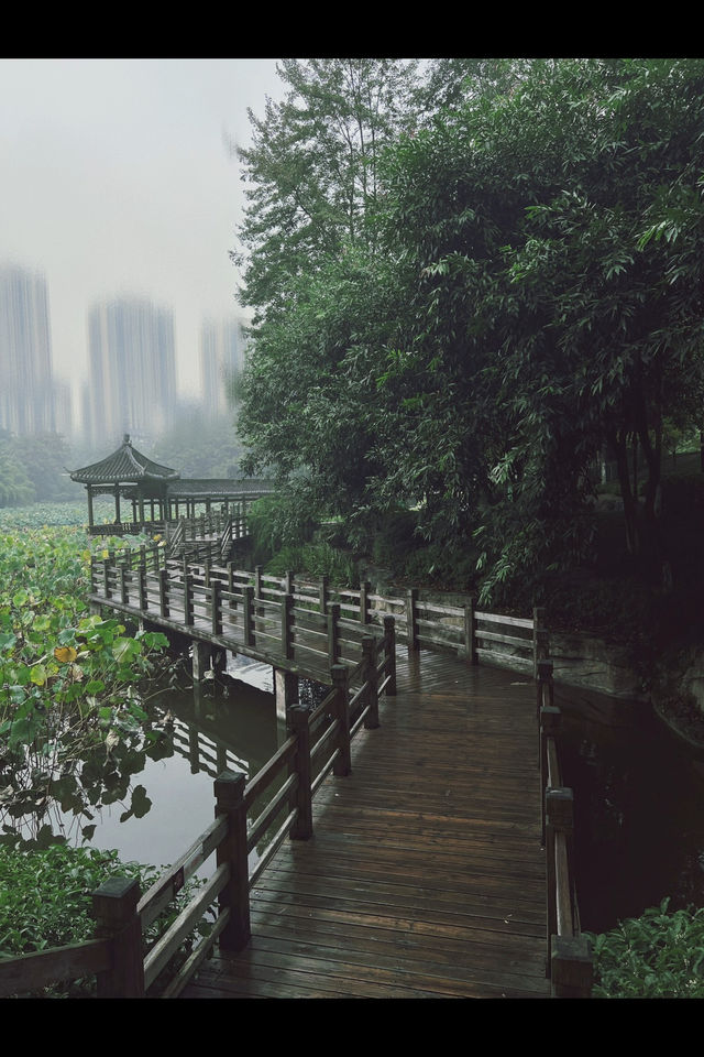 渝北明珠——龍頭寺公園