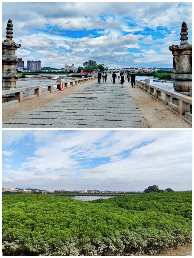 粵閩跟團遊丨泉州洛陽橋