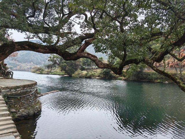 江西龍尾村,山野田間的初冬美景 江西龍尾村,山野田間的初冬美景