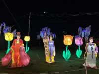 Discover the Magic of the Illumi Light Show in Canada