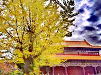 西普陀寺