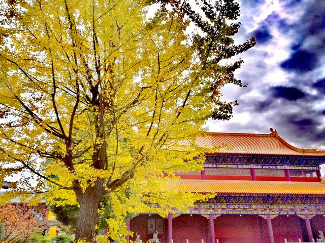 西普陀寺