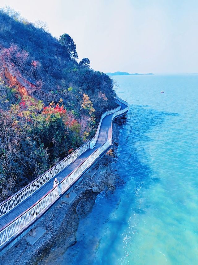 武漢環島遊 武漢環島遊