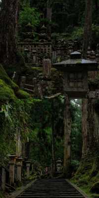 高野山  | 日本最最最神聖的地方！