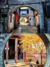 震澤古鎮已回，說點大實話