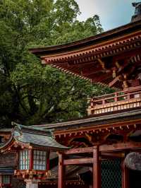 6日暢遊日本 盡享溫泉之旅