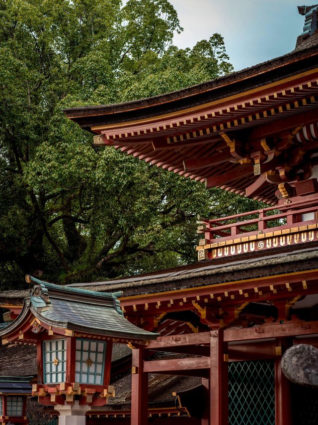 6日暢遊日本 盡享溫泉之旅