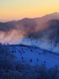 冬日指南竹林暖湯、高山滑雪