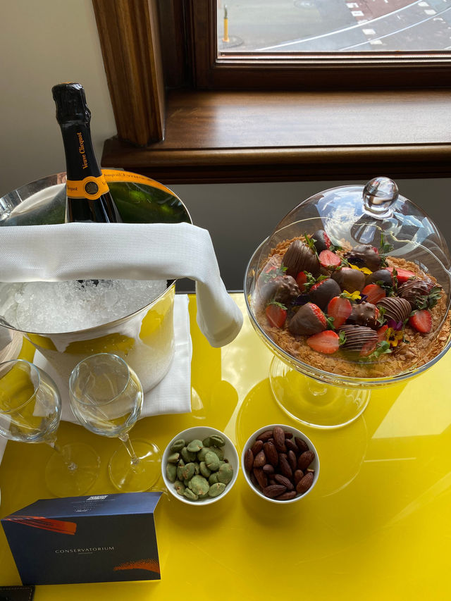 阿姆斯特丹溫室酒店奢華與藝術的完美結合