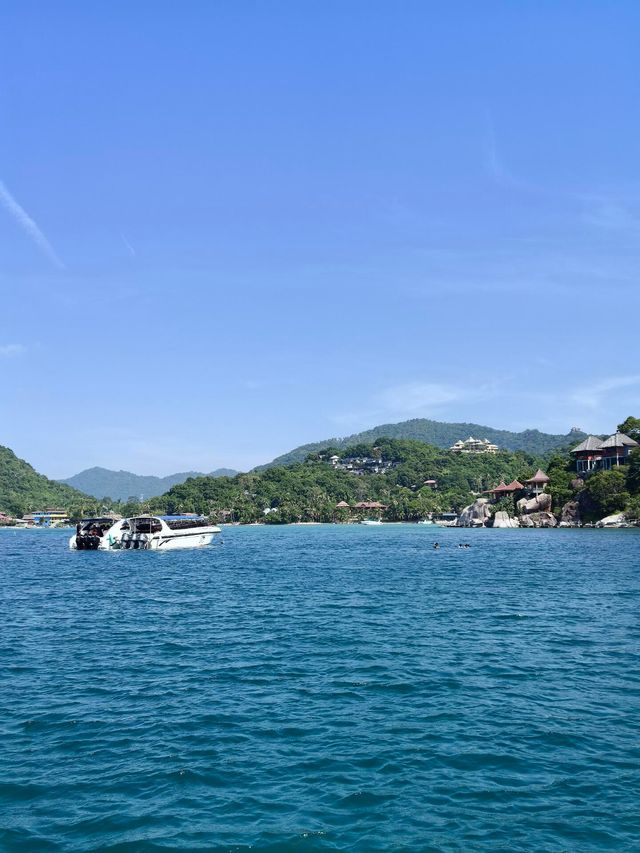 一份蘇梅島潛水攻略：