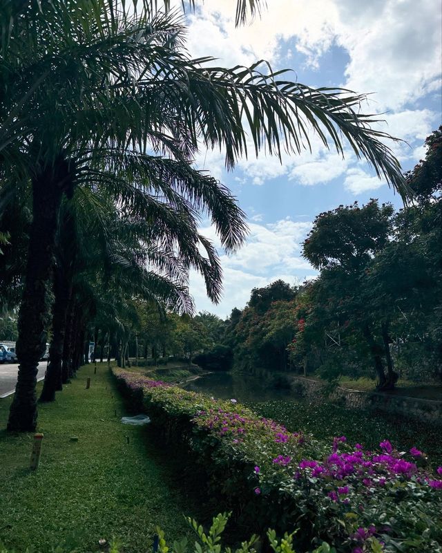 煙台南山，一場多維交織的奇妙之旅