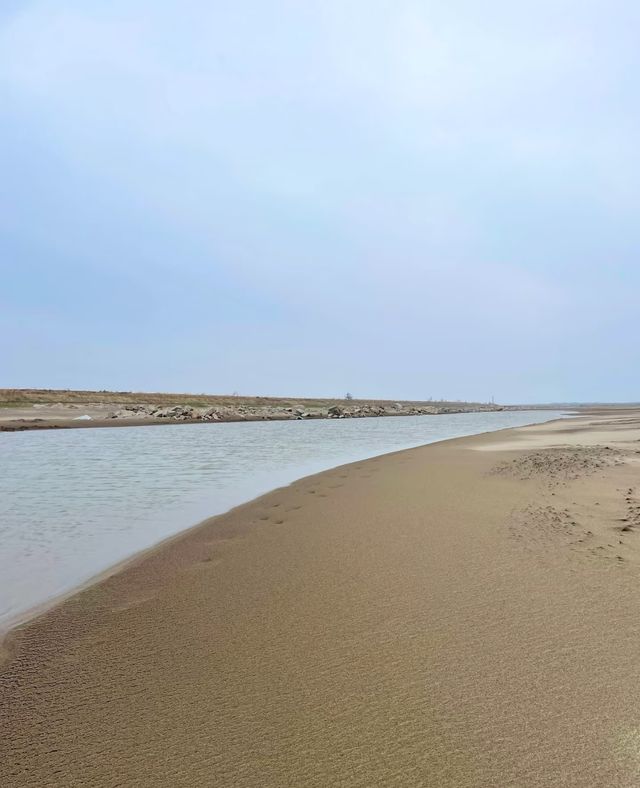 湖南岳陽臨湘江南大漠的遊玩攻略