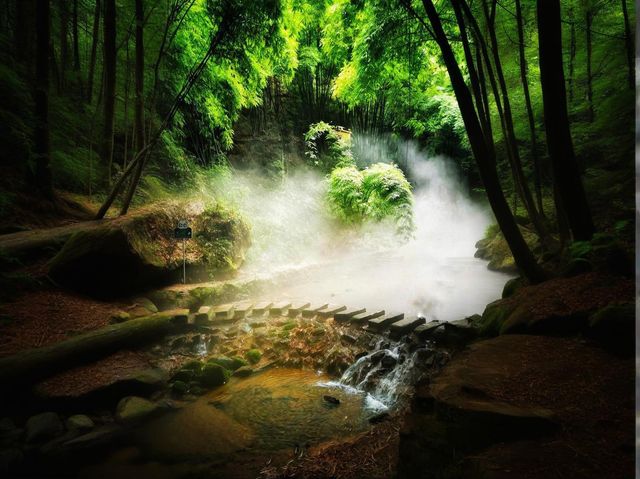 來川西竹海深呼吸，沉醉天然氧吧
