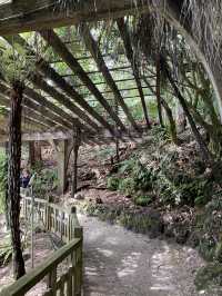 Discover Auckland's Domain Wintergardens: A Free Floral Escape