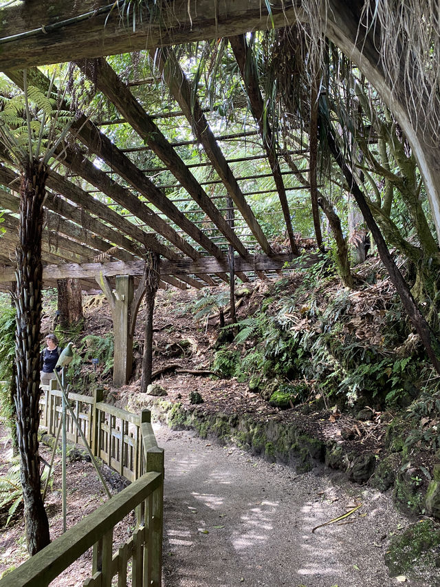 Discover Auckland's Domain Wintergardens: A Free Floral Escape