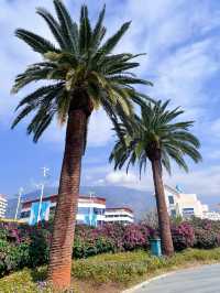 暖冬旅行指南｜米易的半山上又建了一座城太美了