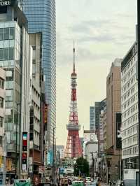 Japan Tokyo Tower has it's own Charm❤️✨