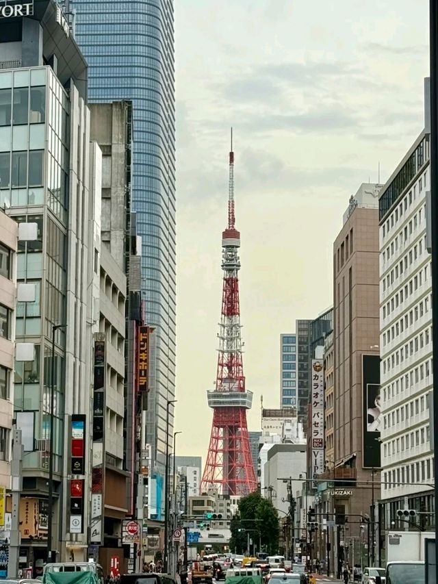 Japan Tokyo Tower has it's own Charm❤️✨