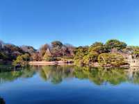東京都特別名勝-六義園