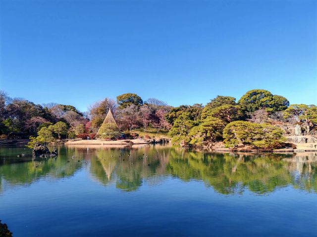 東京都特別名勝-六義園