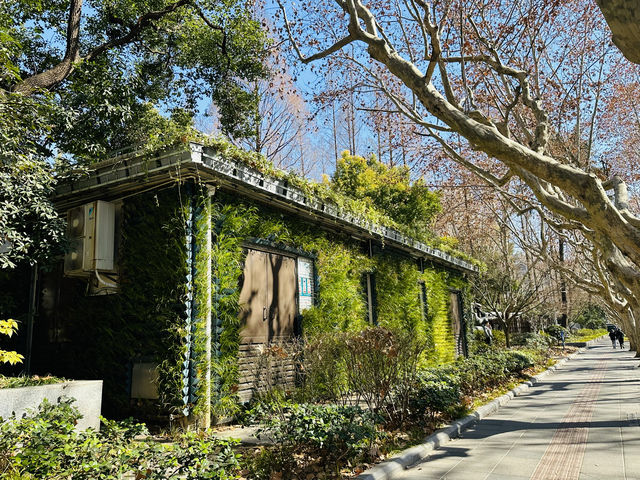 百年新華路 百年新華路