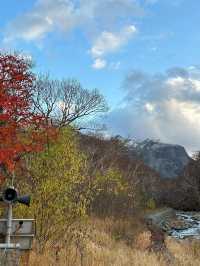 春節去新疆吐魯番葡萄溝等地 這才是嚮往的旅行