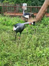 龍沙動植物園：動植物們的可愛小天地