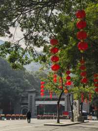西樵山next level玩飛越叢林看另類風景