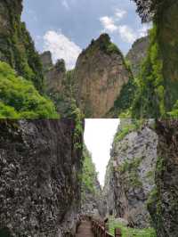去遮陽山，看不一樣的山，享受清歡