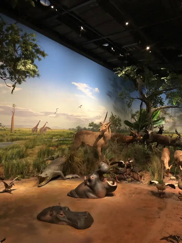 High-speed rail links Xining and Chengdu: 3-day, 2-night weekend travel plan