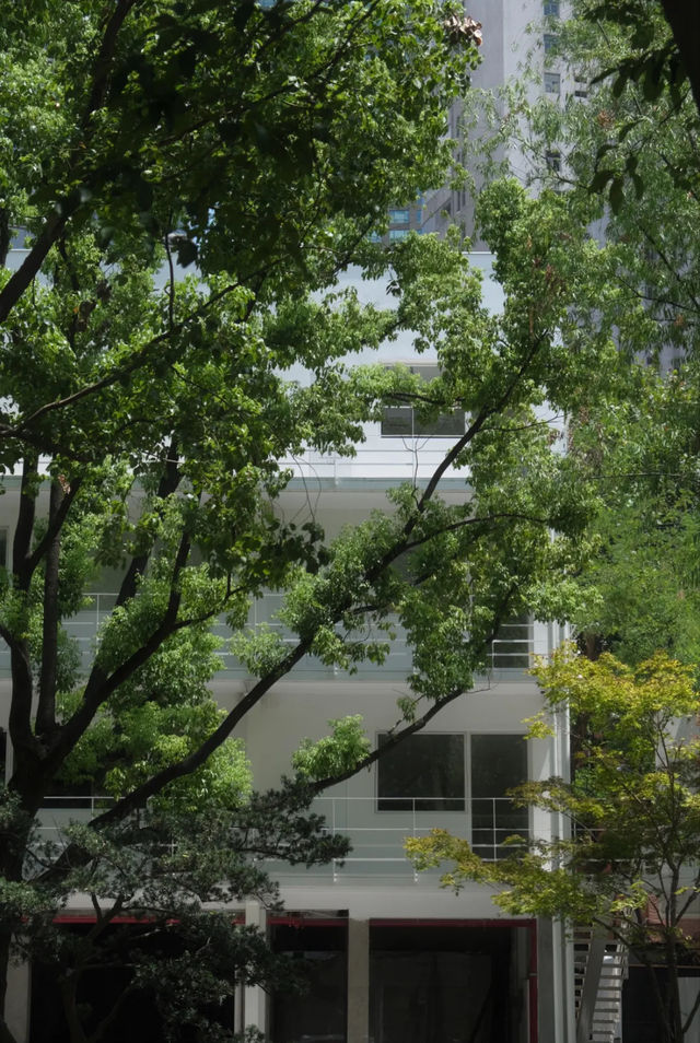 上海新晉街區 綠光小森林好日劇光影也太美了吧