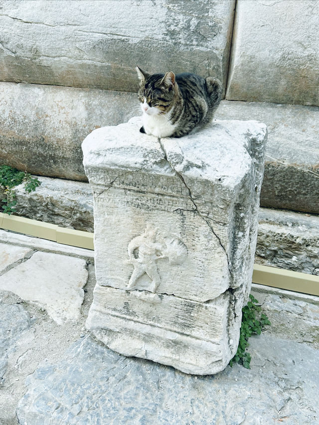 愛琴海第一景點：聖經名城「以弗所古城（Ephesus）」