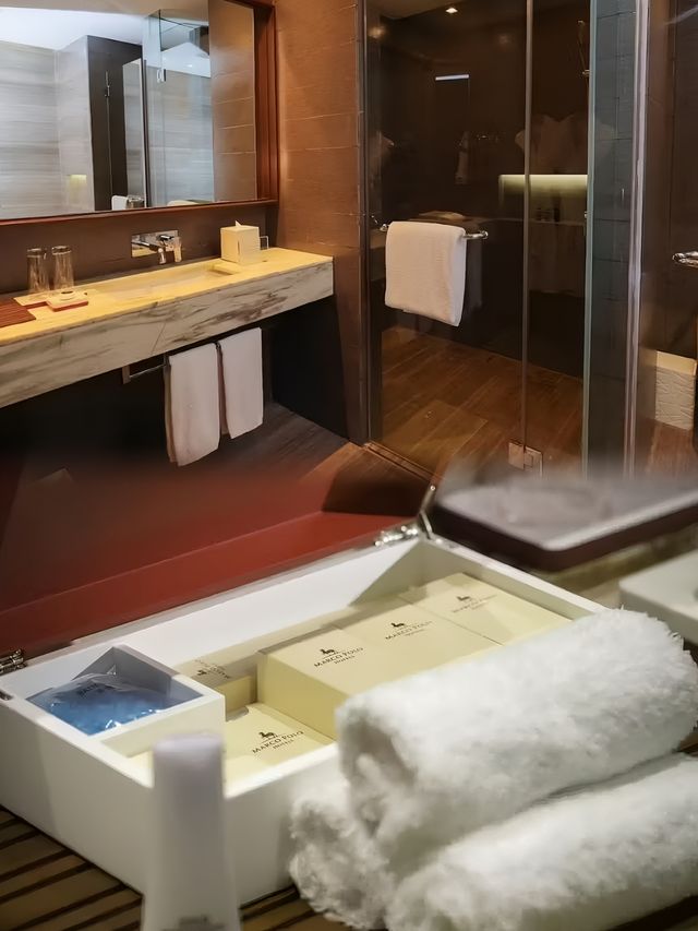 馬尼拉馬哥孛羅奧提加斯酒店：非凡之旅