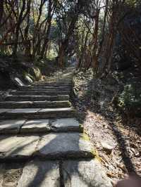 8日探索尼泊爾 神秘森林之旅太驚艷了