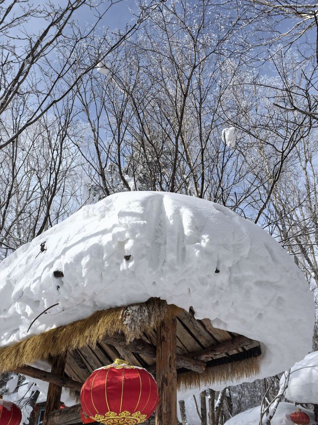 哈爾濱—雪鄉5日遊超詳細攻略，出發前必讀！