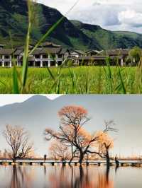 鶴慶已回，真不建議2月去。