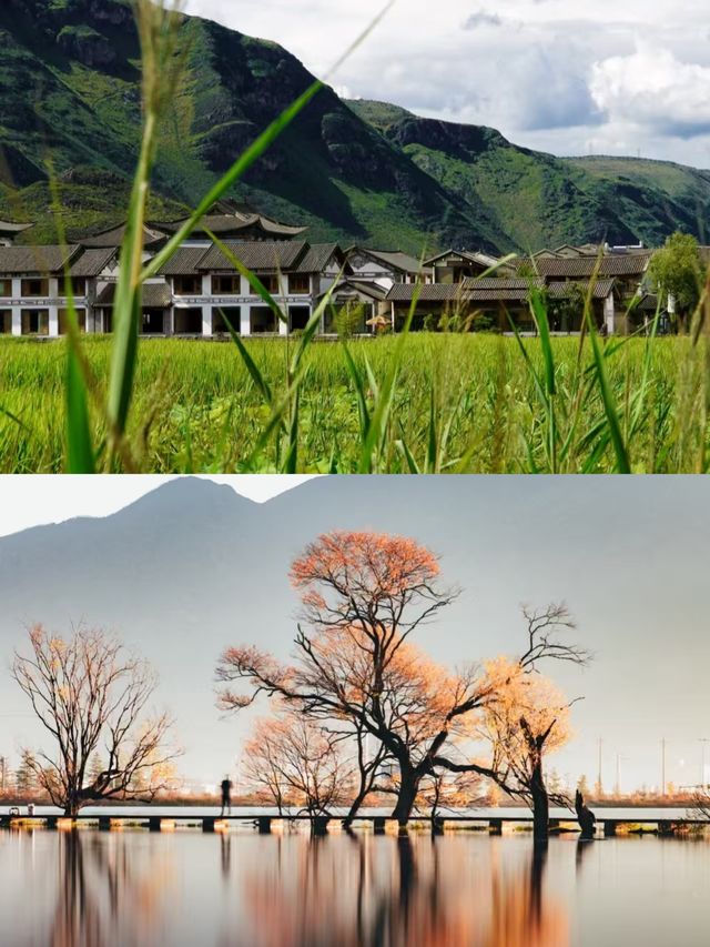 鶴慶已回，真不建議2月去。