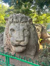 免簽摩洛哥等多國連遊震撼美景等你探索