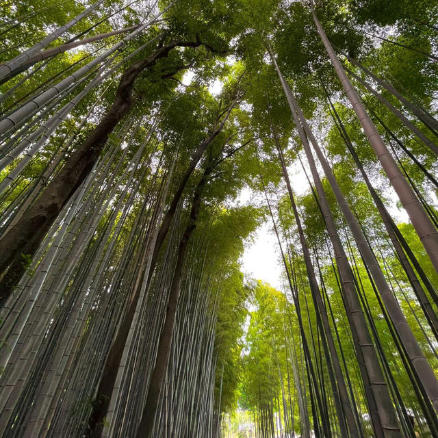 京都的「靜」·遇見一座會呼吸的百年庭院