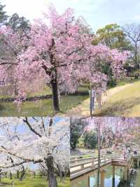 日本岡山
