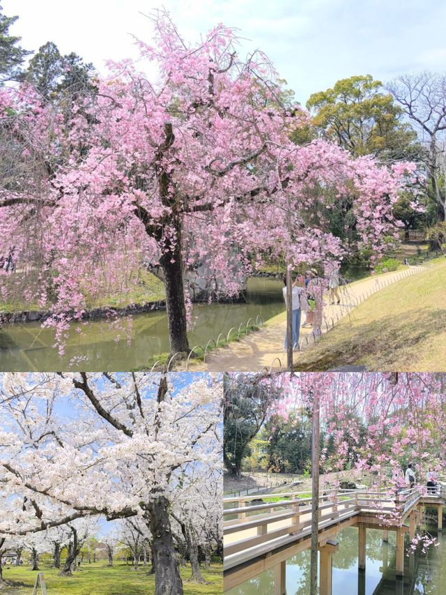 日本岡山