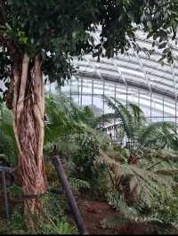 Sky garden London 