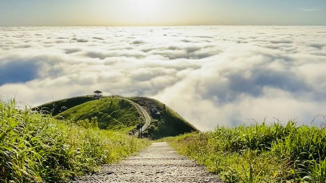 山不見我，我自去見山！