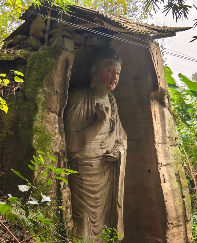 四川資中石刻匯總，「野」到不能再「野」！