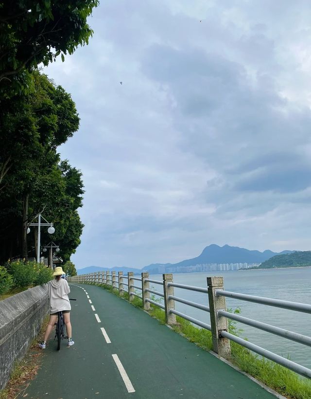 香港大美督單車路線攻略，超靚！