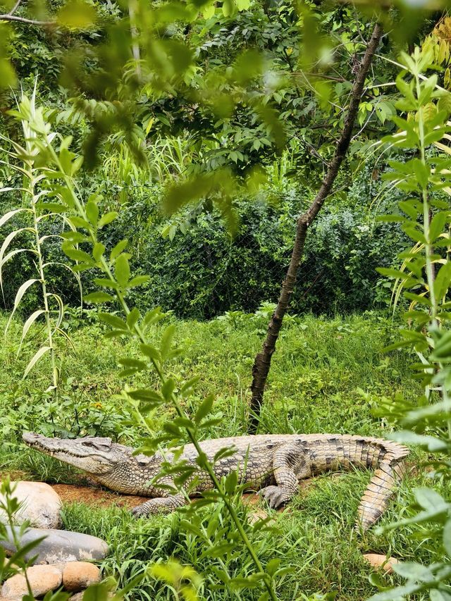 野生動物會咬人？NO！是會萌的沒邊