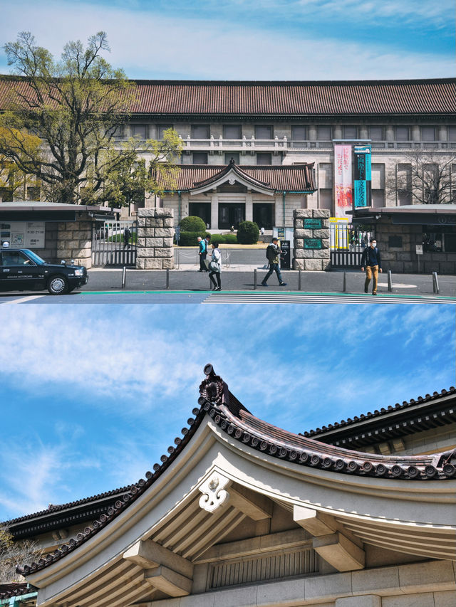 東京賞櫻｜一起去博物館穿越歷史賞櫻吧