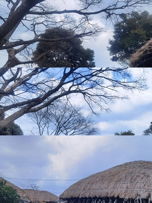 莞島綺夢行 | 韓國海濱的悠然之章