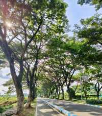 邂逅瑪琅市｜小眾寶藏地的奇妙旅程