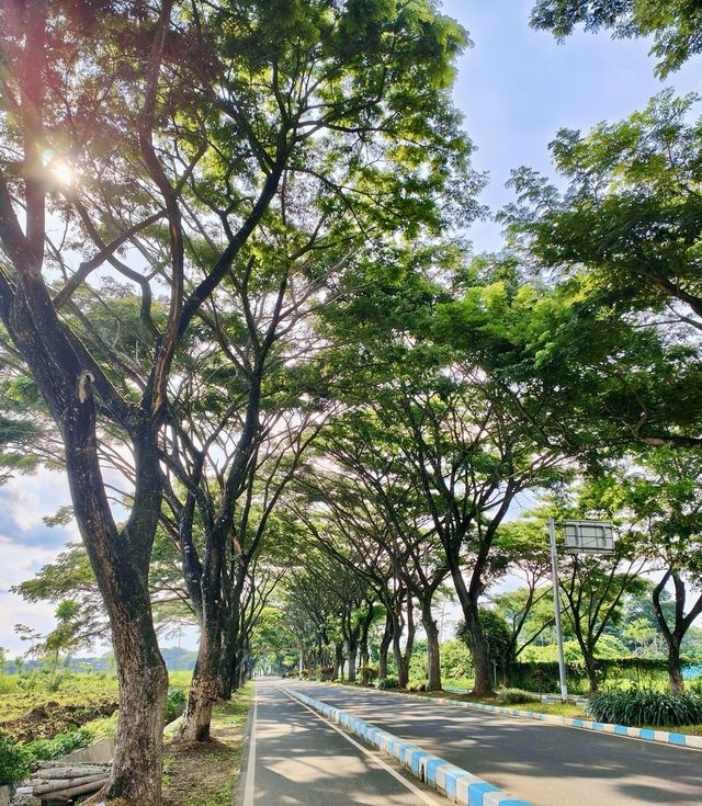 邂逅瑪琅市｜小眾寶藏地的奇妙旅程